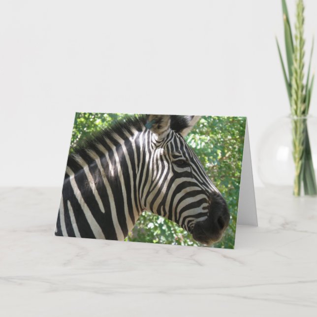 Cute Zebra Greeting Card (Front)