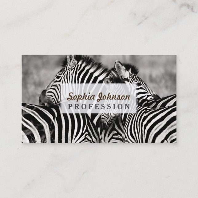 Cute Zebra Herd Nature Safari Black White Business Card (Front)