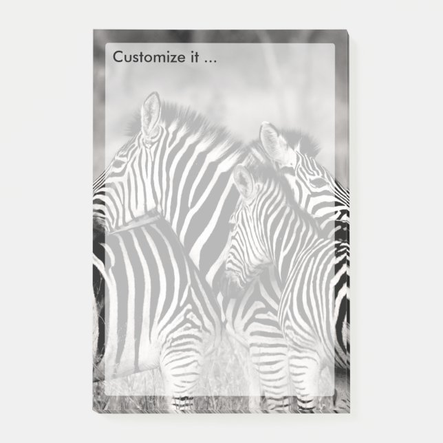 Cute Zebra Herd Nature Safari Black White Post-it Notes (Front)