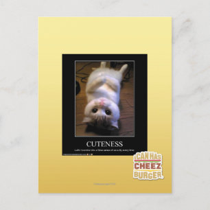 Cuteness 2 postcard
