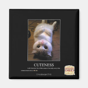 Cuteness Magnet