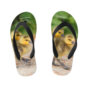 Cuteness on Parade: Canada Goose Goslings Kid's Thongs