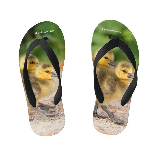 Cuteness on Parade: Canada Goose Goslings Kid's Thongs (Footbed)