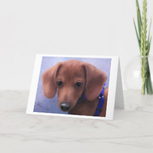 Cuteness Overload Card