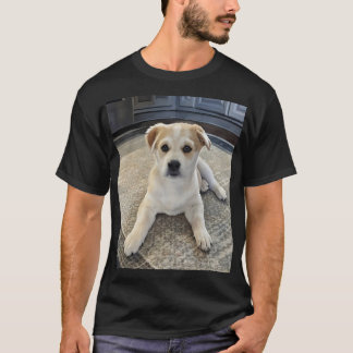 Cuteness Puppy Overload  T-Shirt