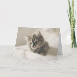 Cuteness therapy kitten thinking of you card