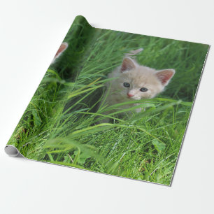 Cuteness Wrapping Paper