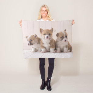 Cutest Baby Animals 3 Baby Corgis Fleece Blanket