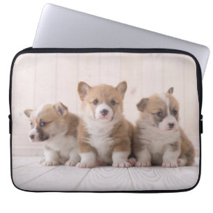 Cutest Baby Animals   3 Baby Corgis Laptop Sleeve