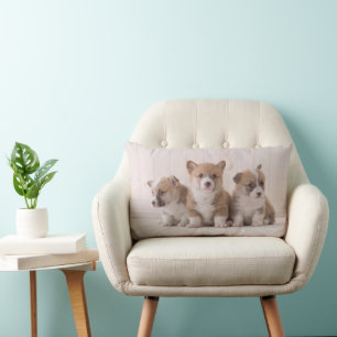 Cutest Baby Animals   3 Baby Corgis Lumbar Cushion