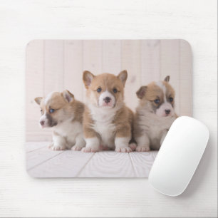 Cutest Baby Animals 3 Baby Corgis Mouse Pad