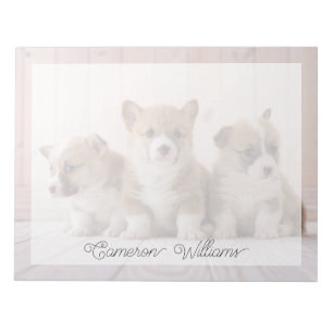 Cutest Baby Animals   3 Baby Corgis Notepad