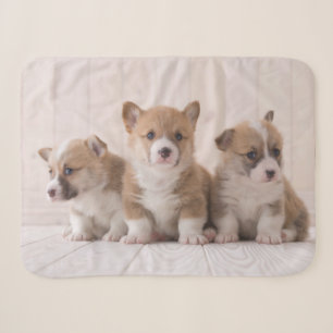 Cutest Baby Animals   3 Baby Corgis Sherpa Blanket