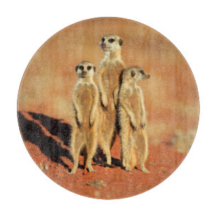 Cutest Baby Animals 3 Meerkats Cutting Board