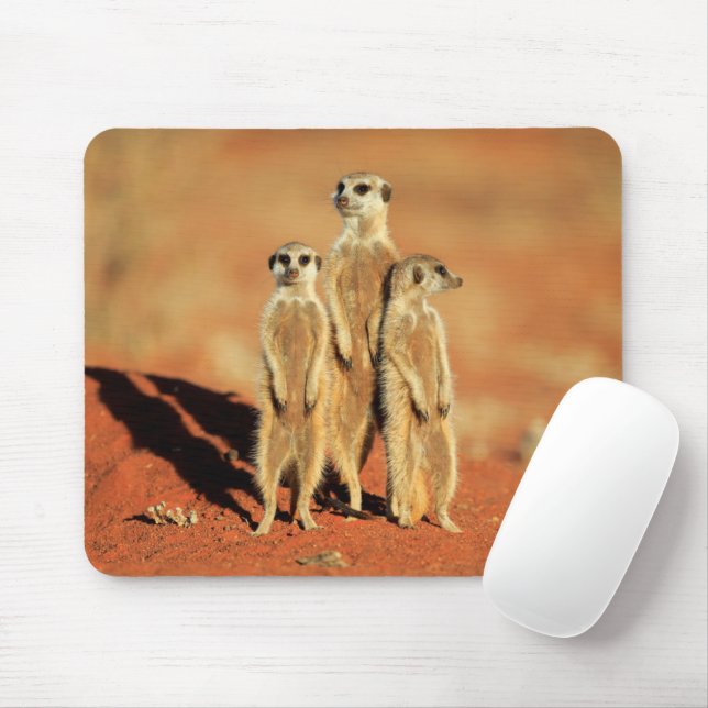Cutest Baby Animals | 3 Meerkats Mouse Pad (With Mouse)