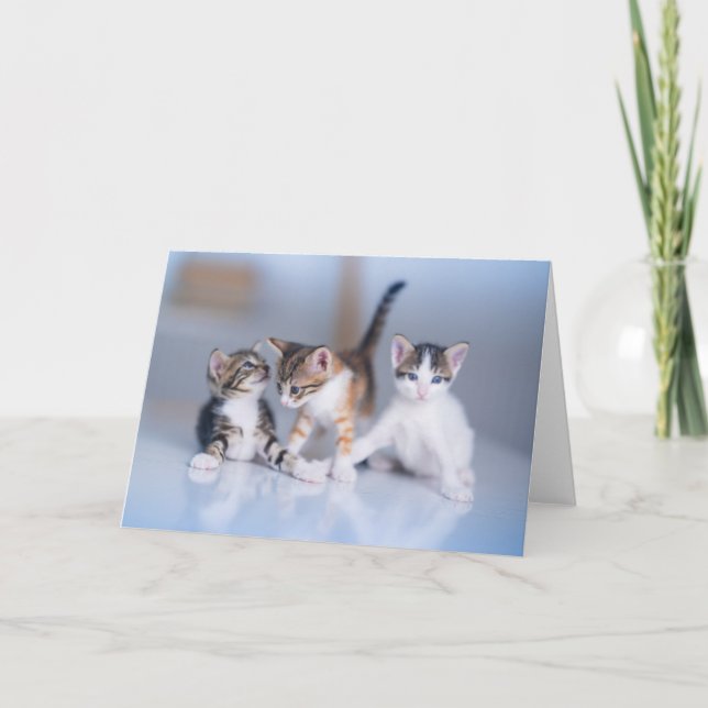 Cutest Baby Animals | 3 Tabby Kittens Card (Front)