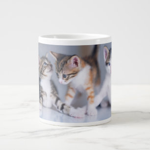 Cutest Baby Animals   3 Tabby Kittens Large Coffee Mug