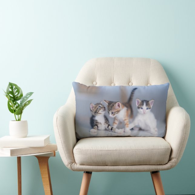 Cutest Baby Animals | 3 Tabby Kittens Lumbar Cushion (Chair)