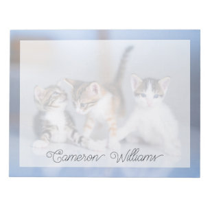 Cutest Baby Animals 3 Tabby Kittens Notepad