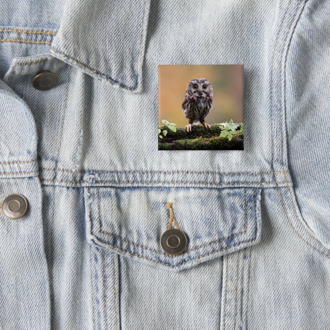 Cutest Baby Animals | A Baby Owl 15 Cm Square Badge (In Situ)