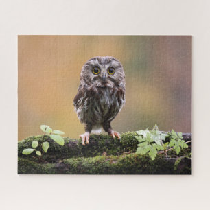 Cutest Baby Animals A Baby Owl Jigsaw Puzzle