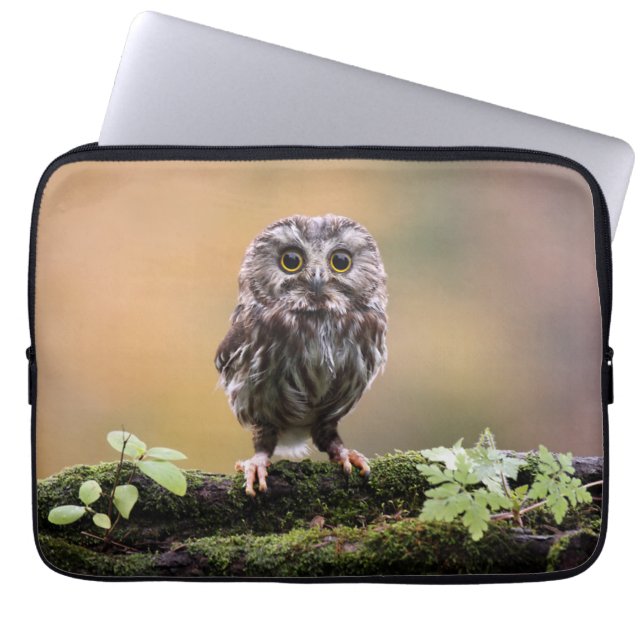 Cutest Baby Animals | A Baby Owl Laptop Sleeve (Front)