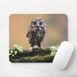 Cutest Baby Animals A Baby Owl Mouse Pad