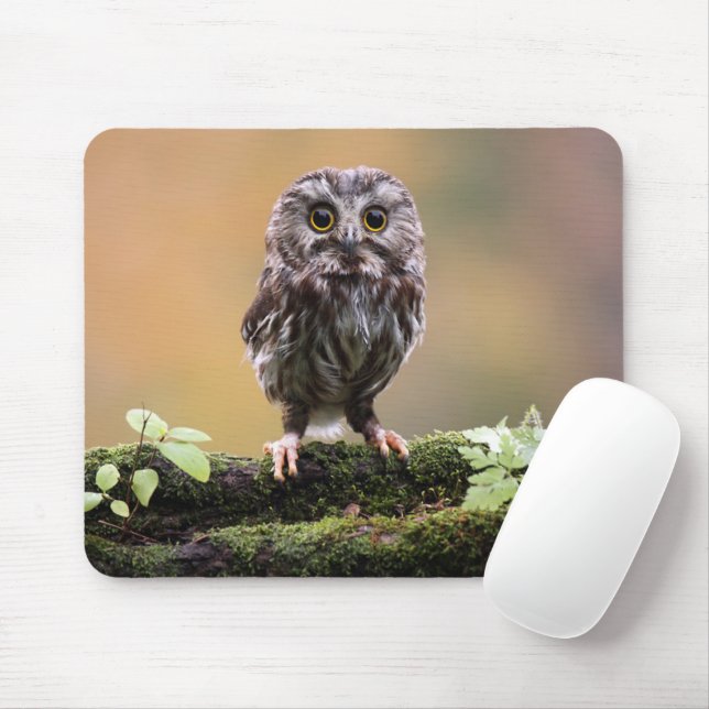 Cutest Baby Animals | A Baby Owl Mouse Pad (With Mouse)