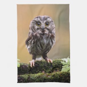Cutest Baby Animals   A Baby Owl Tea Towel