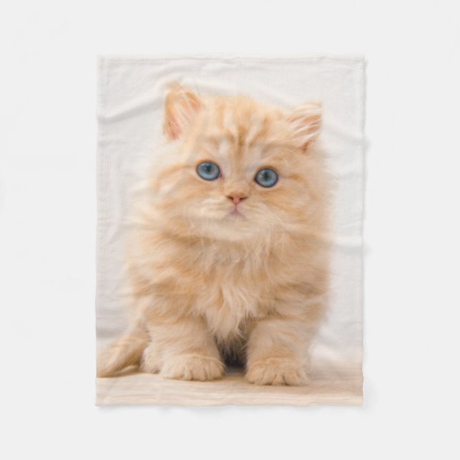 Cutest Baby Animals | A British Longhair Kitten Fleece Blanket (Front)