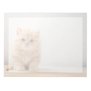 Cutest Baby Animals A British Longhair Kitten Notepad
