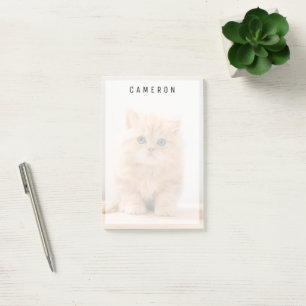 Cutest Baby Animals A British Longhair Kitten Post-it Notes