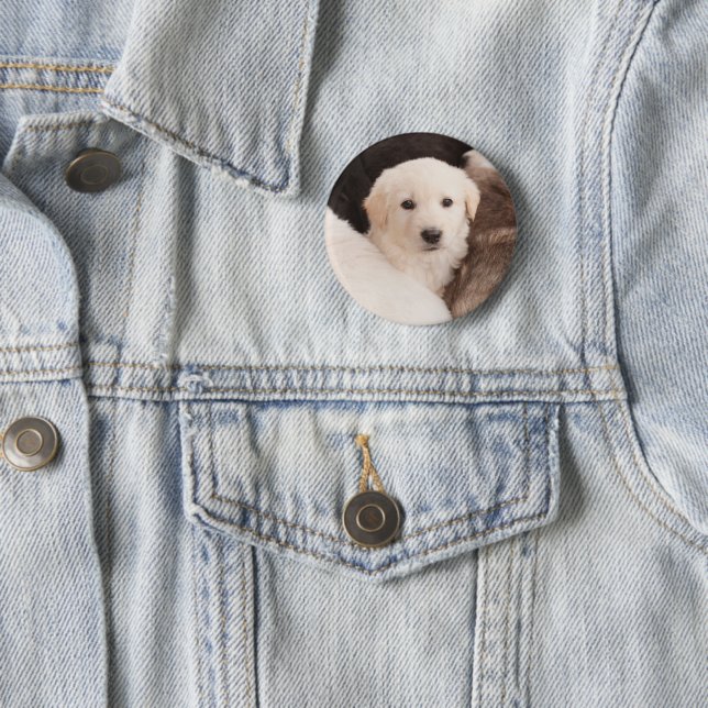 Cutest Baby Animals | A Cute Pile of Puppies 6 Cm Round Badge (In Situ)