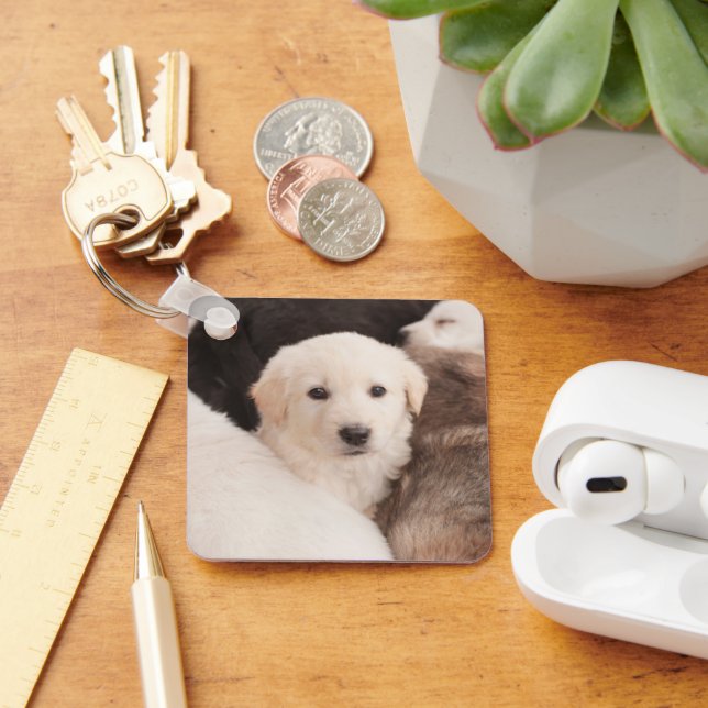 Cutest Baby Animals | A Cute Pile of Puppies Key Ring (Desk)