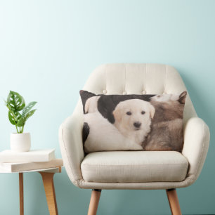 Cutest Baby Animals   A Cute Pile of Puppies Lumbar Cushion