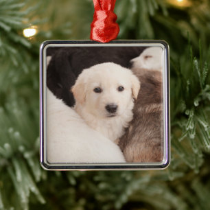 Cutest Baby Animals   A Cute Pile of Puppies Metal Ornament
