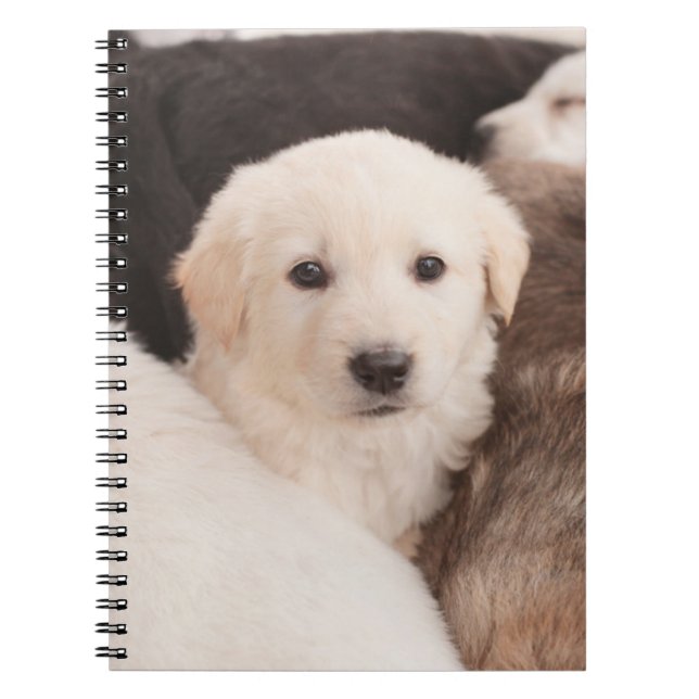 Cutest Baby Animals | A Cute Pile of Puppies Notebook (Front)