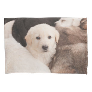Cutest Baby Animals   A Cute Pile of Puppies Pillowcase