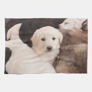 Cutest Baby Animals A Cute Pile of Puppies Tea Towel