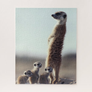 Cutest Baby Animals A Family of Meerkats Jigsaw Puzzle