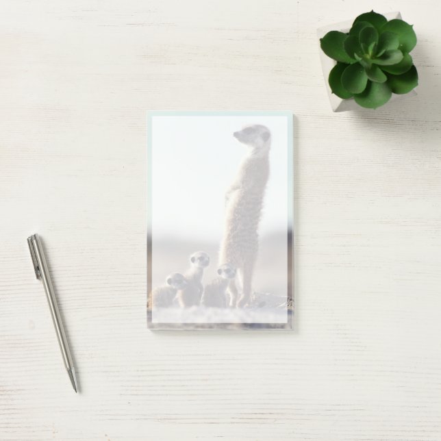 Cutest Baby Animals | A Family of Meerkats Post-it Notes (Office)