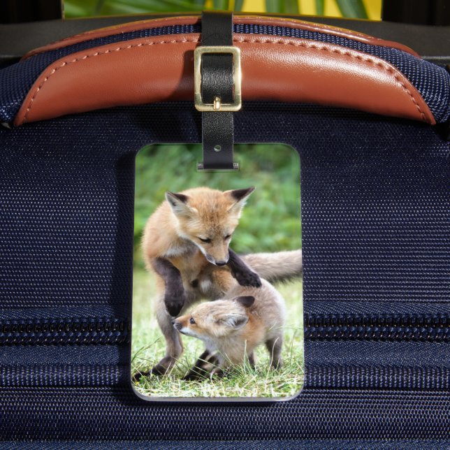 Cutest Baby Animals | Adorable Fox Kit & Mama Luggage Tag (Front Insitu 2)