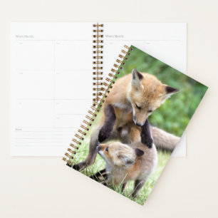 Cutest Baby Animals Adorable Fox Kit & Mama Planner