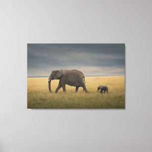 Cutest Baby Animals African Elephant Family Canvas Print
