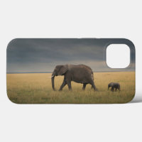 Cutest Baby Animals | African Elephant Family