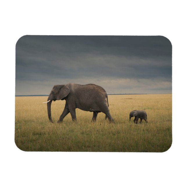 Cutest Baby Animals | African Elephant Family Magnet (Horizontal)