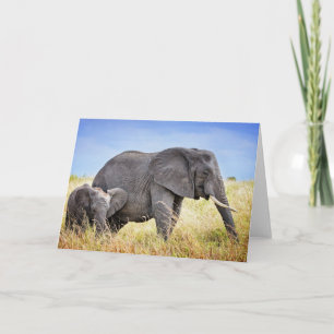 Cutest Baby Animals African Elephant & Mother Card
