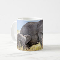Cutest Baby Animals | African Elephant & Mother