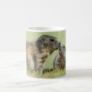 Cutest Baby Animals Alpine Marmot Family Coffee Mug
