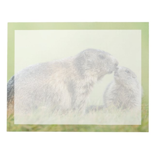 Cutest Baby Animals | Alpine Marmot Family Notepad (Front)
